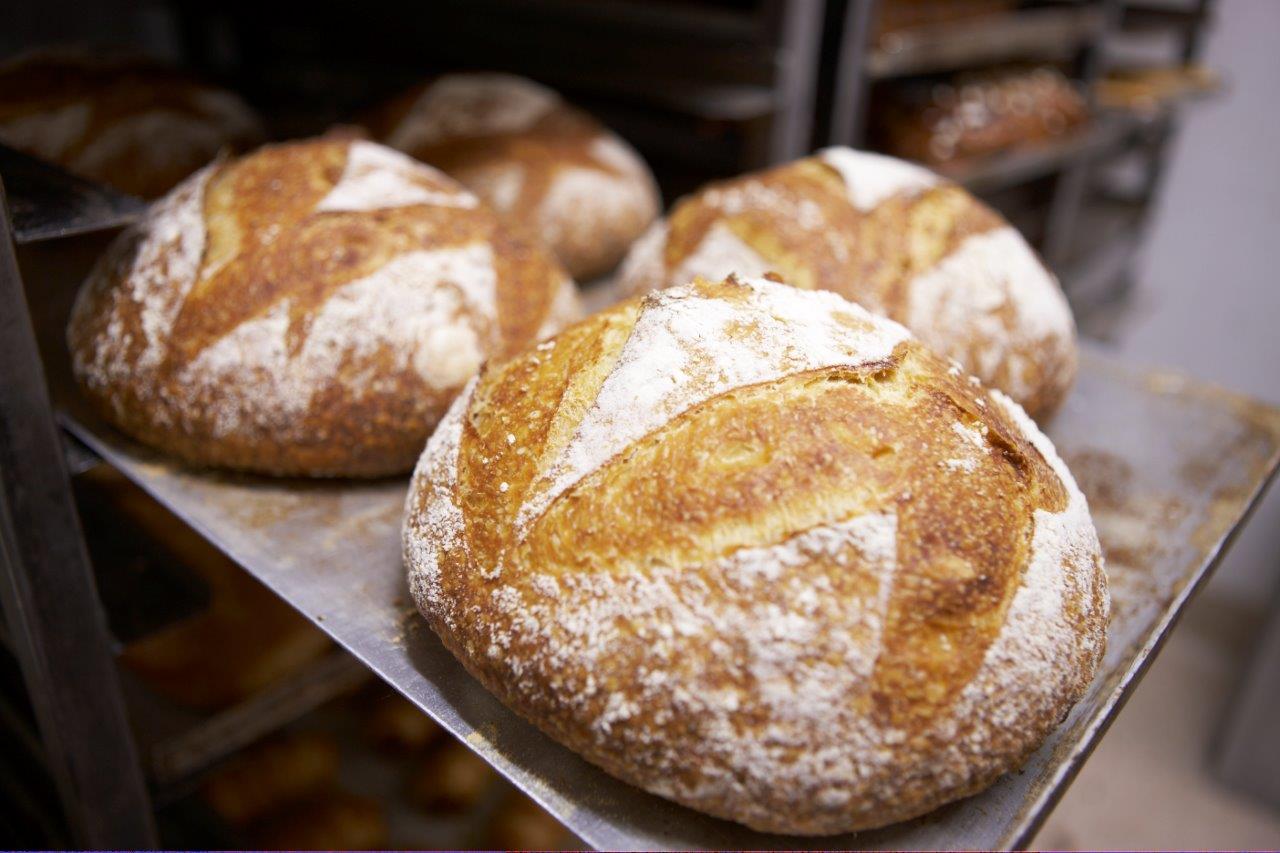 Rustic Sourdough Light Round
