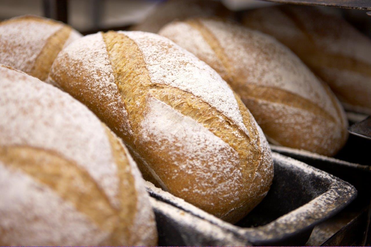 Wholemeal Bread