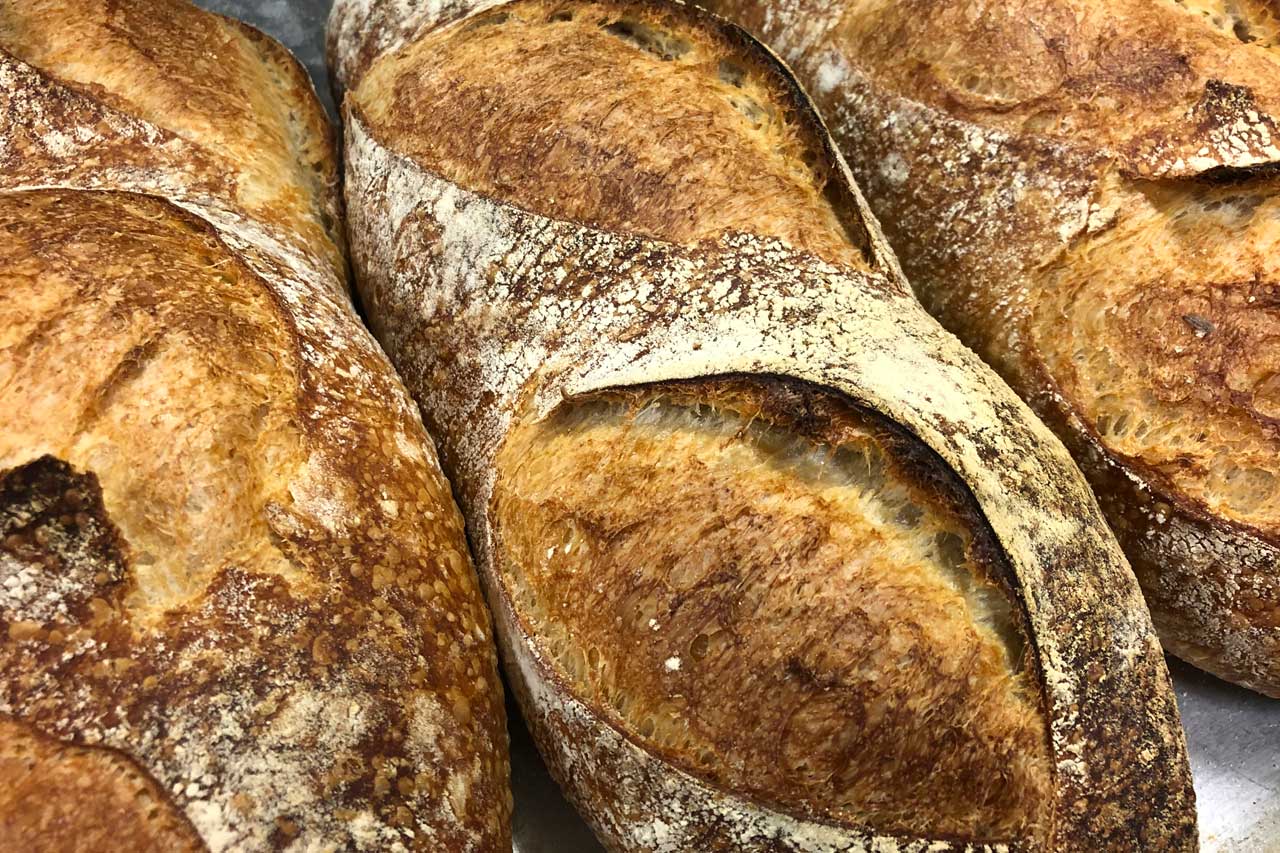 Rustic Sourdough Light Long